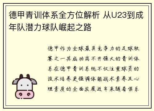 德甲青训体系全方位解析 从U23到成年队潜力球队崛起之路